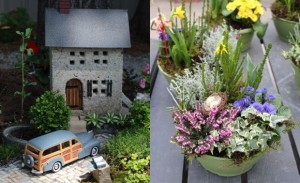 Fairy garden vs container garden FEATURE