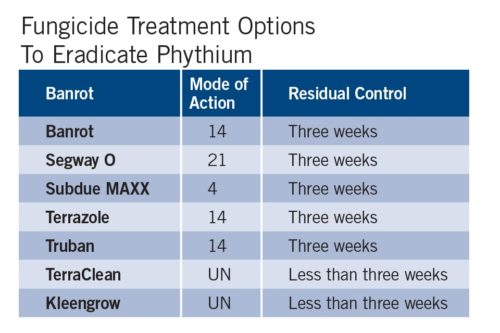 Fungicide Treatment Options For Pythium