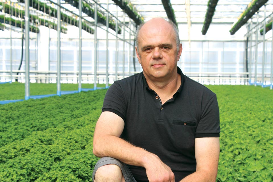 Albert Grimm, Jefferys Greenhouses