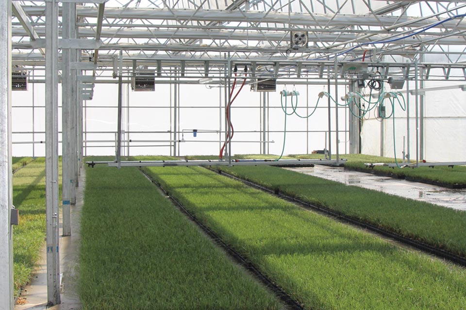 How Hoffman Nursery Invests In Technology In Response To Increased