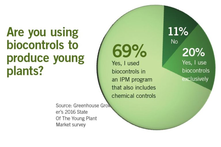 The Top Young Plant Growers And Four Critical Challenges Facing Them 