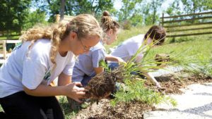 green-plan-it-gardening-outdoor-nature-explore-classroom