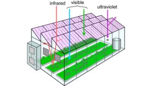 nc-state-solar-cell-greenhouse
