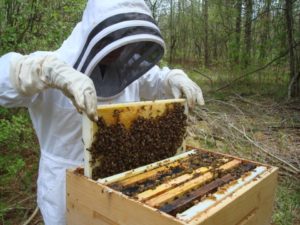 beekeeper-with-a-hive