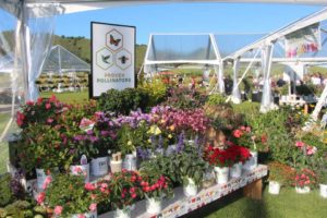 Proven Winners and Kentucky Nursery and Landscape Association to Partner on Summer Outing