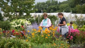 Bailey Nurseries Expo To Take Place In Late July In Minnesota