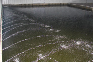 Slow Sand Filter at Catoctin Mountain Growers