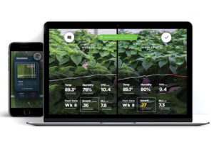 Gamechanger: How Artificial Intelligence Works in the Greenhouse