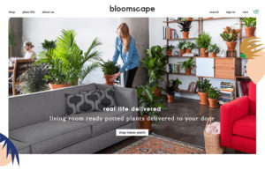 Newly Launched Online Foliage Company Bloomscape Grabs Consumer Headlines in its First Week