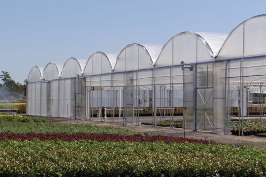 Greenhouse Suppliers Weigh In on Building and Design Trends ...