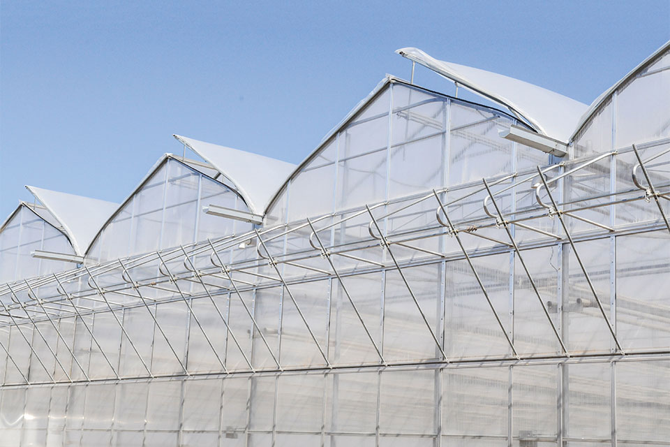 Half-Open-Roof-Greenhouse-GGS Pipp Horticulture