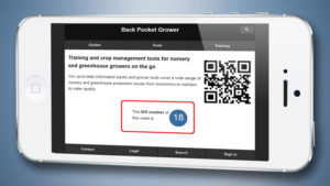 Back-Pocket-Grower-Date-Week-App-feature-image