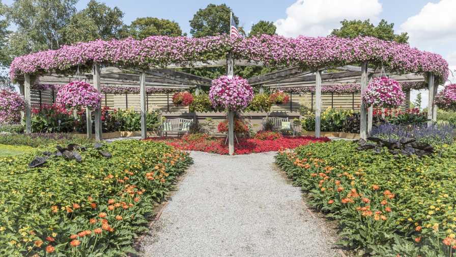 Pleasant View Gardens, D.S. Cole Growers to Host Open House in August