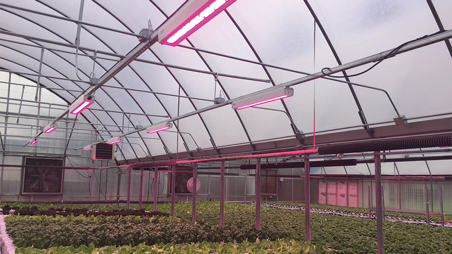 Horti LED standard Top PL Light Systems feature