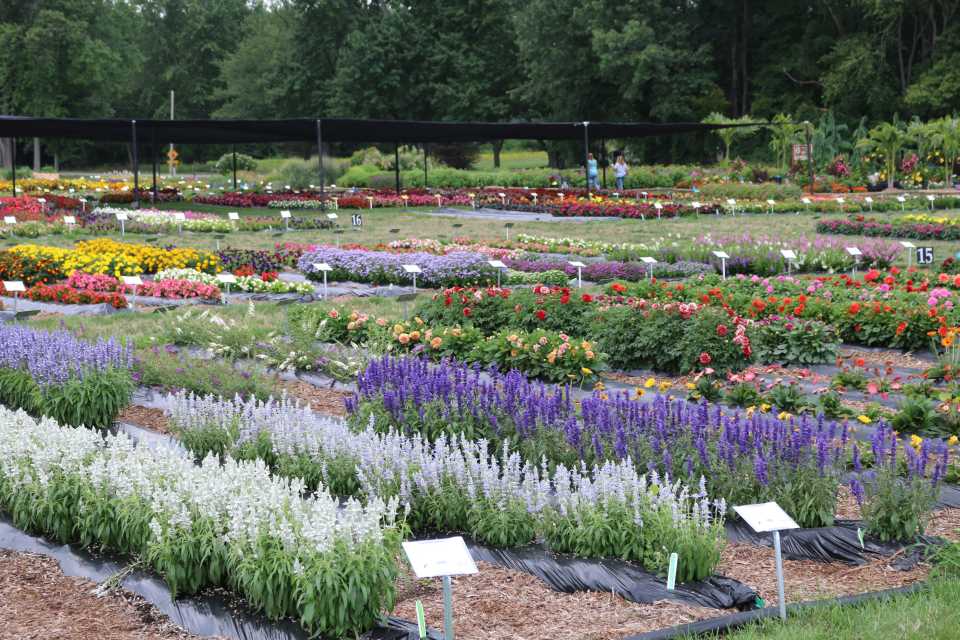 garden plants tour