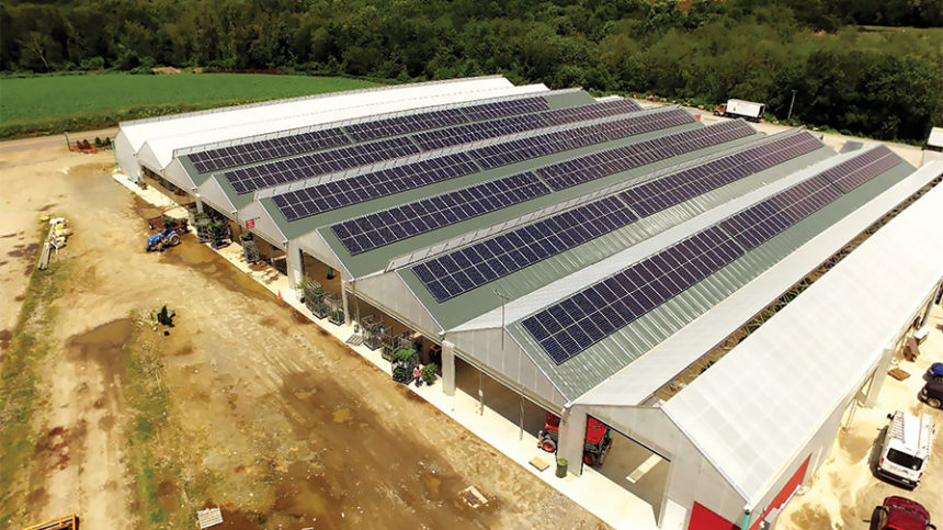 Prides Corner Farms Investment In Solar Panels Pays Off Greenhouse Grower 6727