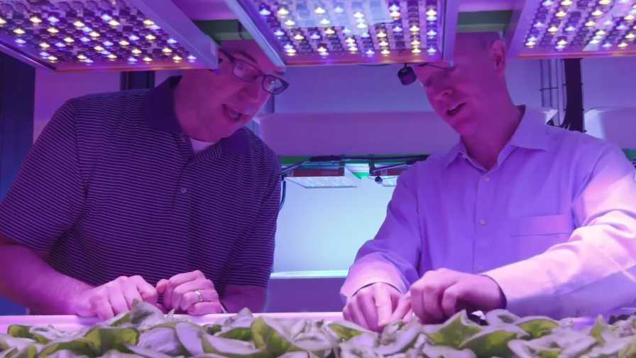 Michigan State's Erik Runkle working alongside Osram floriculture research