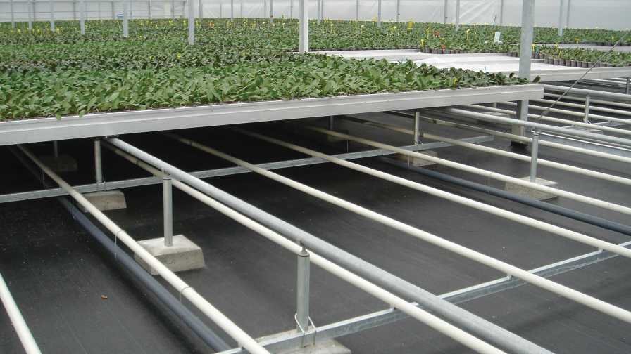 Floor Irrigation at Westerlay Orchids