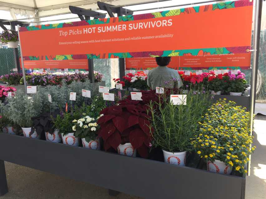 8 Ways to Sell Plants California Spring Trials 2019 Style