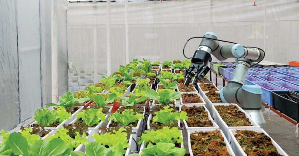 greenhouse automation robotics in food