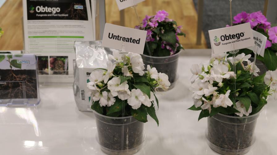 BPIA Innovation Circuit at Cultivate Highlights Biological Products