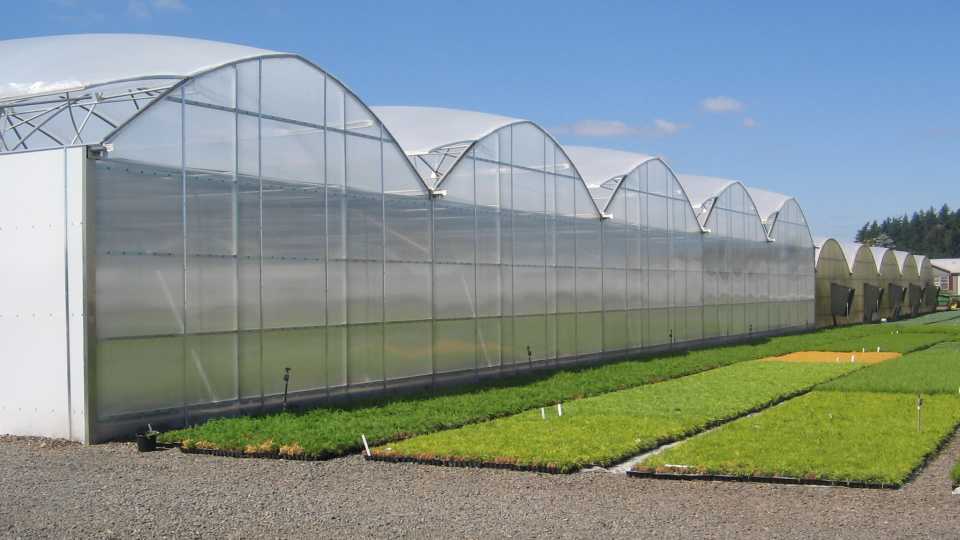 Top 5 Greenhouse Technology Stories From 2019 Greenhouse Grower