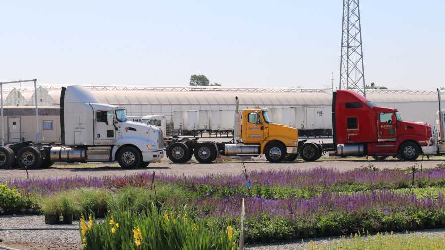 trucking regulations shipping software