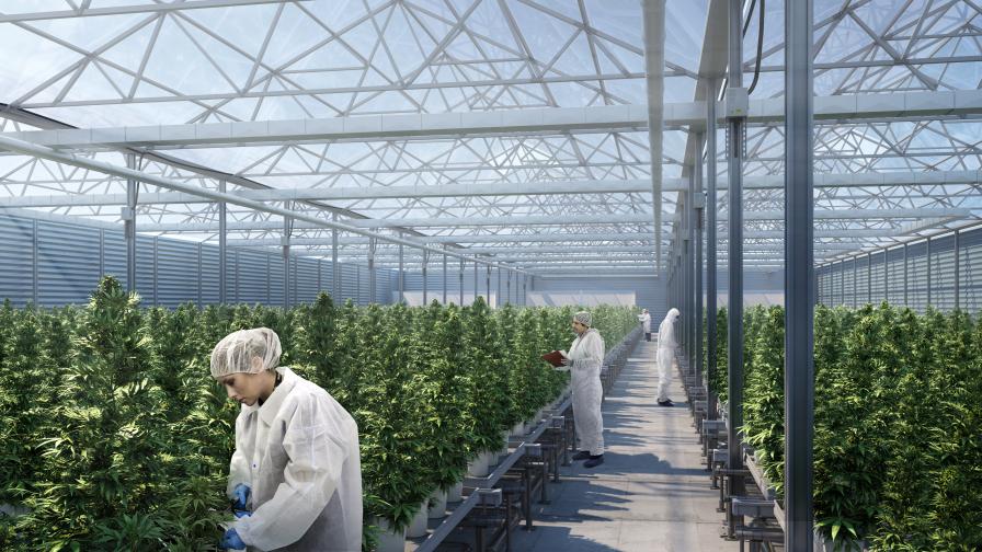How One Company is Betting the House on Greenhouse Cannabis