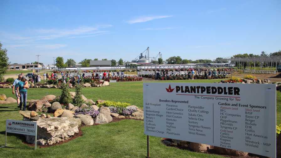 Plantpeddler Variety Day Trial Garden