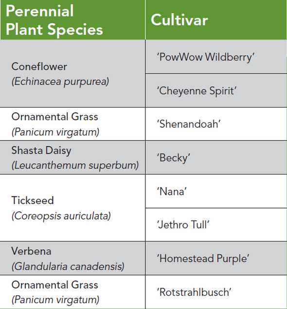 List of perennial plants that show resistance to Phytophthora