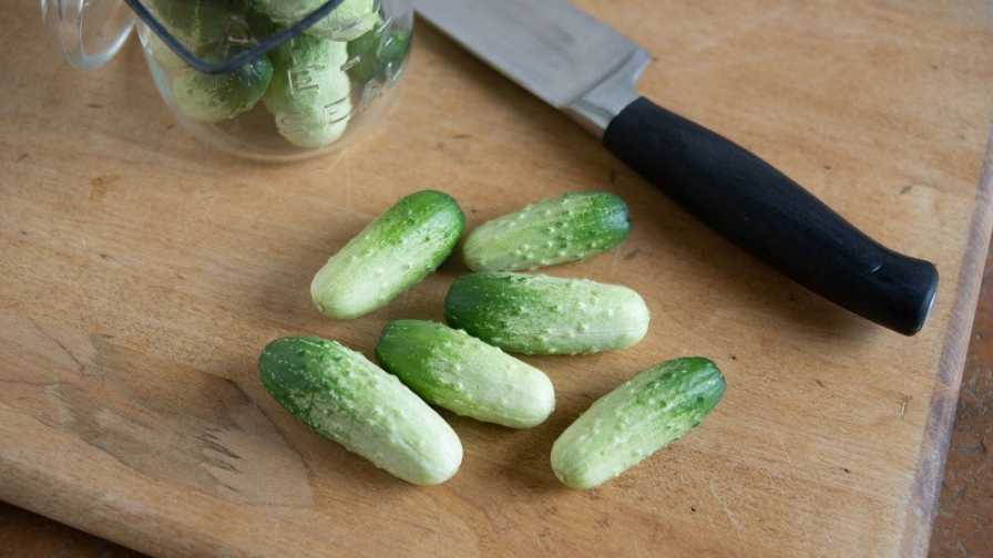 Quirk Cucumbers for Snacking