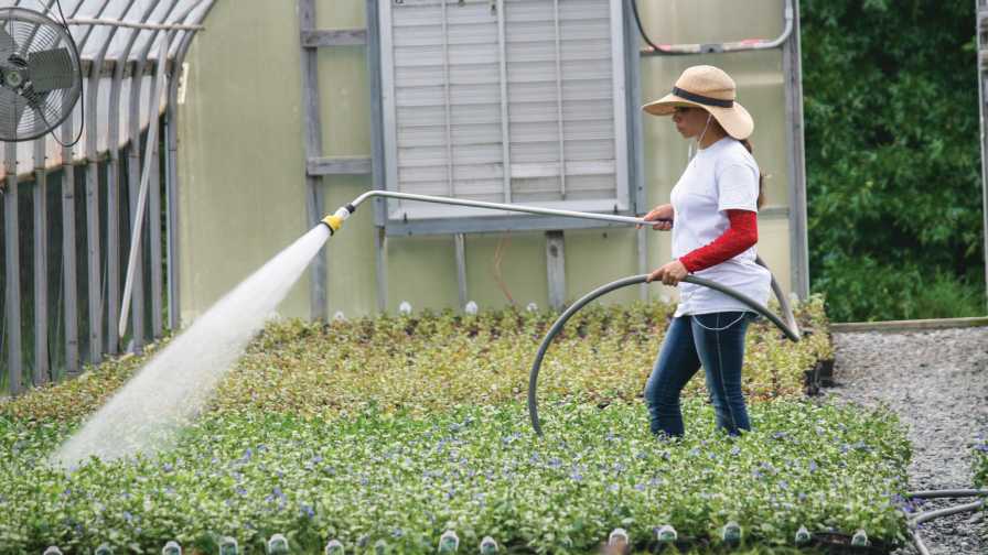 Worker on the job at the greenhouse Secure the Border Act