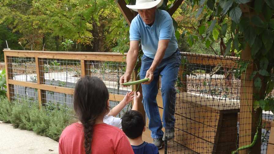 Kids learning in the garden from Dr. Allan Armitage