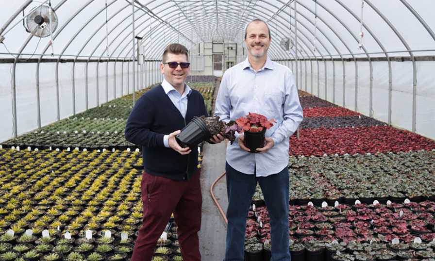 Taylor Pilker and Ferenc Kiss of Cavano's Perennials