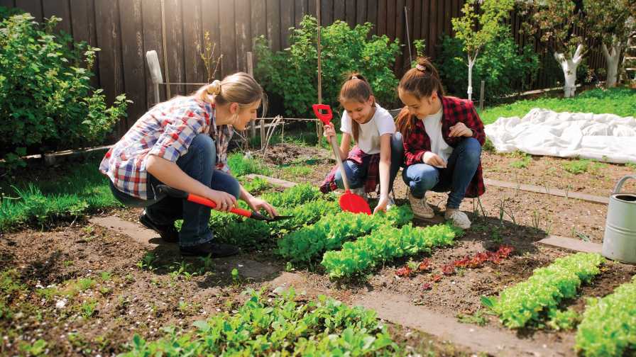Photo of two teenage girls with mother working in backyard garden pandemic lessons