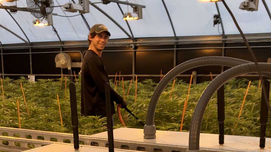 Growlink Automation Harvest Greenhouse Fertigation