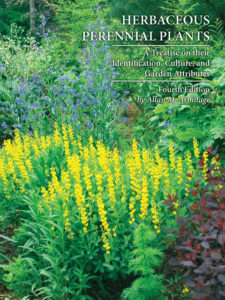 Herbaceous Perennial Plants cover