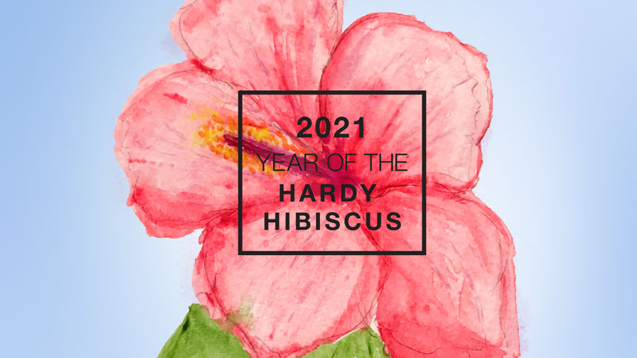 NGB Year of the Hardy Hibiscus 2021