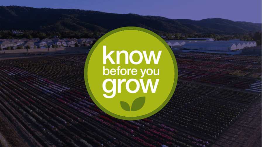 Syngenta Know Before You Grow Poinsettia production