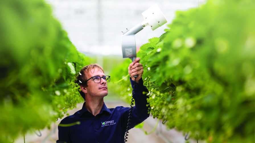 Applying biocontrols in a greenhouse