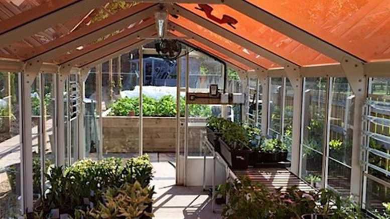 greenhouse with tinted solar panels credit university of cambridge