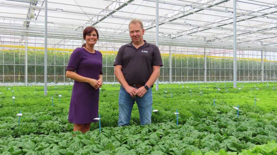Anne Jancic and Martin Voorberg BASF Vegetable Seeds