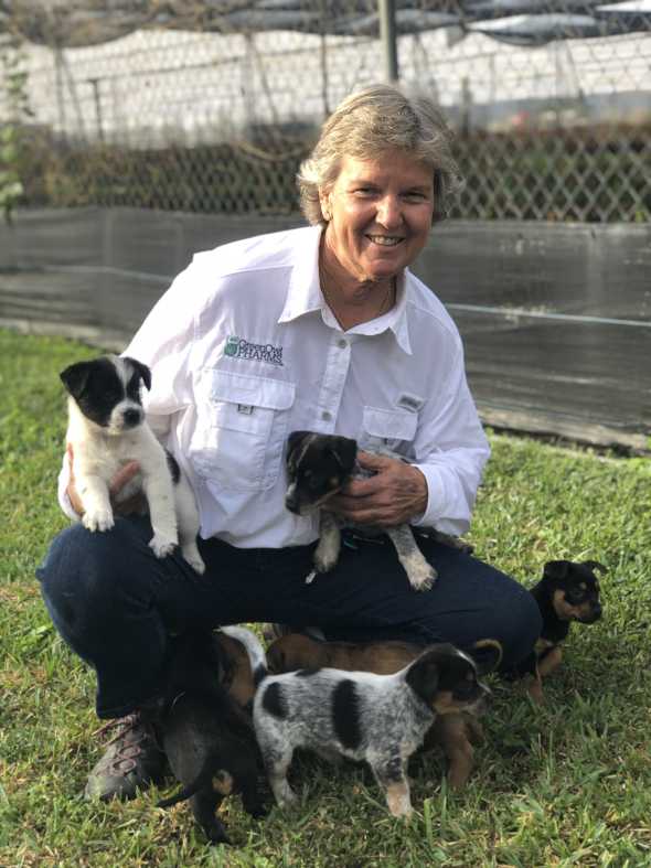 Dawn Wilson of Nature's Way Farms with puppies