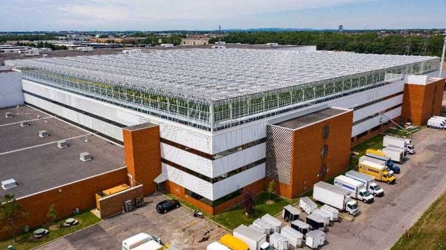 Lufa Farms giant rooftop greenhouse in Montreal