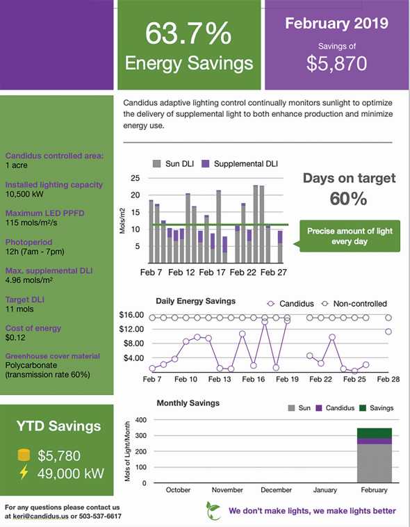 Candidus monthly energy report