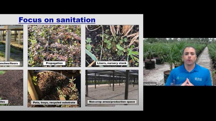 UF Weed Control Video