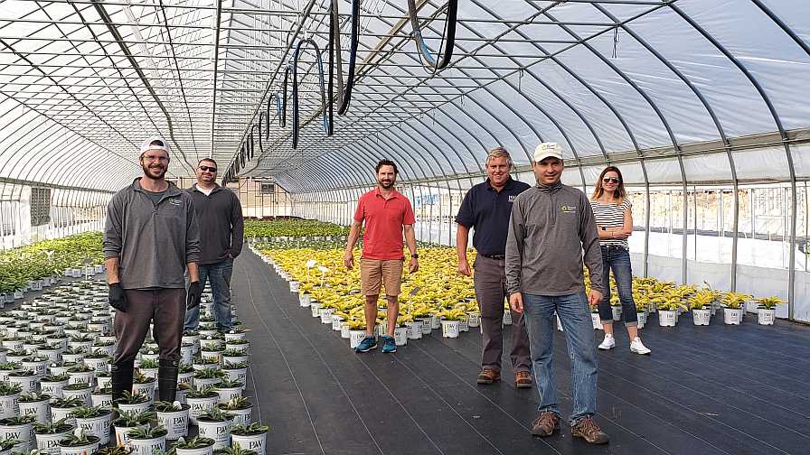 Growing team at Pleasant View Gardens