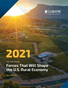 CoBank 2021 Report cover web ag economy