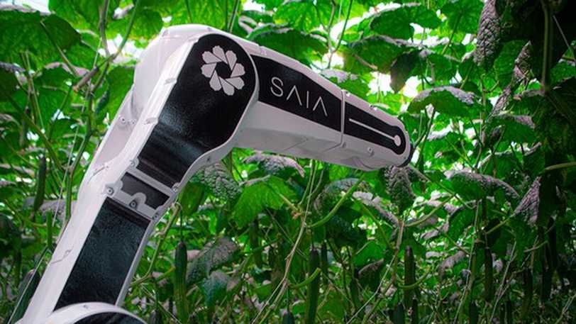SAIA Leaf Cutting robot