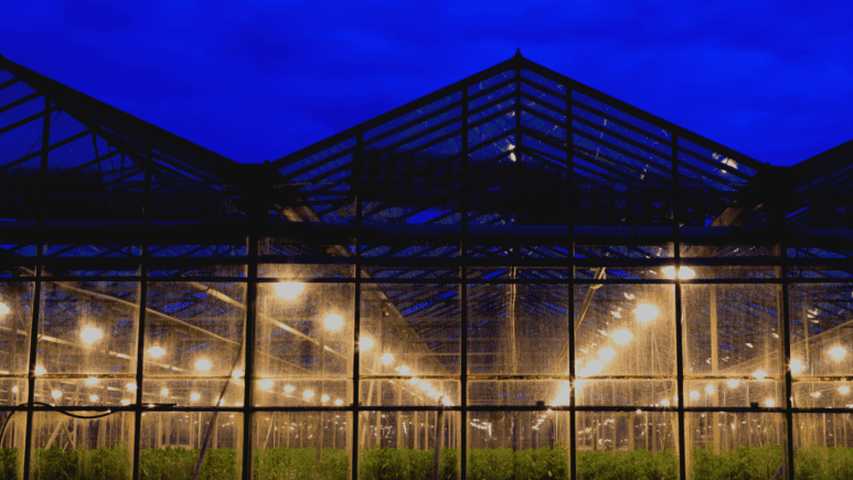 Greenhouse Lighting energy savings
